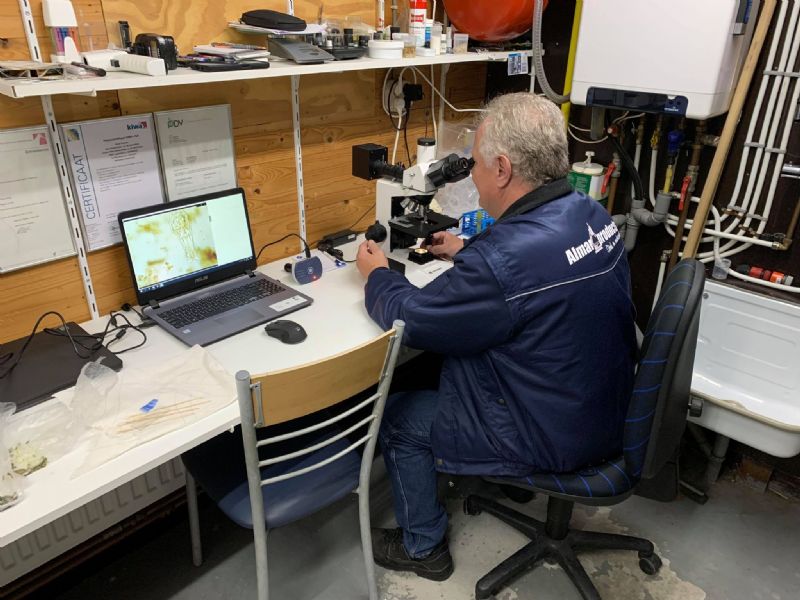 Onder de microscoop bij... Aldert Hiemstra